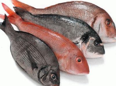 Scopri di più sull'articolo Pesce ed etichette, MDC: nei mercati rionali poche le informazioni al consumatore