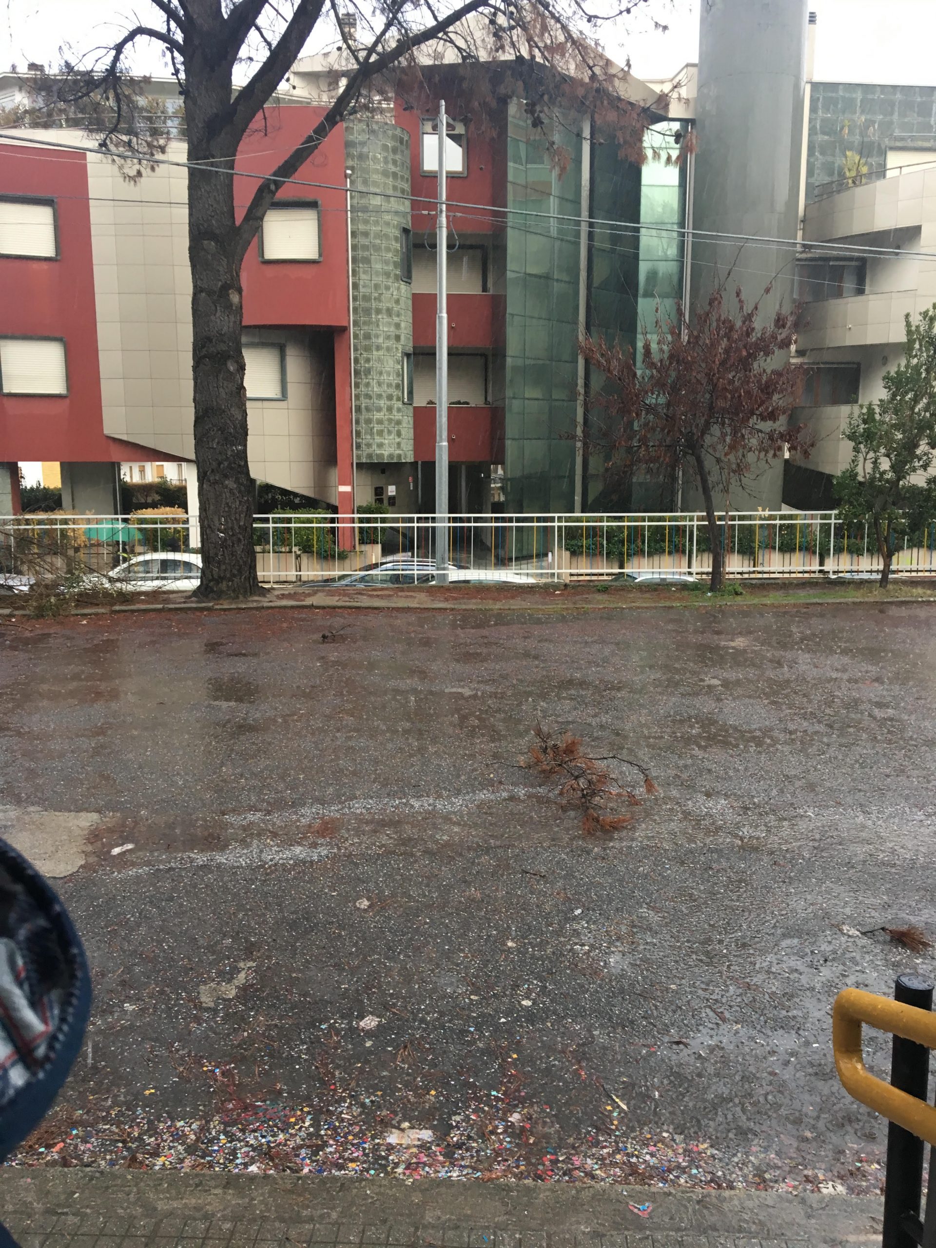 Scopri di più sull'articolo Cosenza, albero cadente incombe sull’ingresso di una scuola primaria. La denuncia di MDC Cosenza