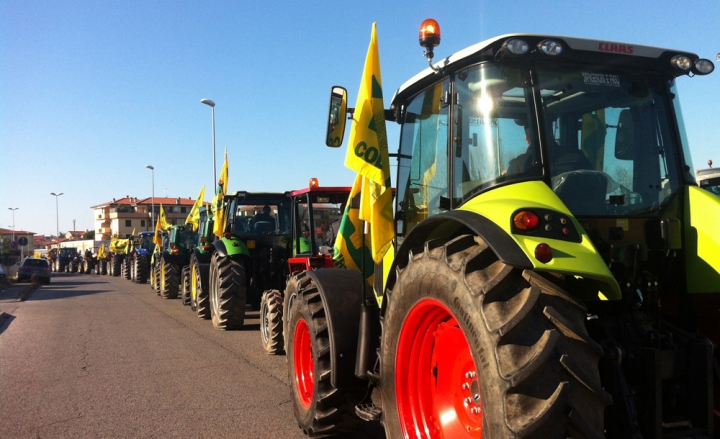 Scopri di più sull'articolo “Guerra del grano” a Bari, il Movimento Difesa del Cittadino partecipa alla mobilitazione