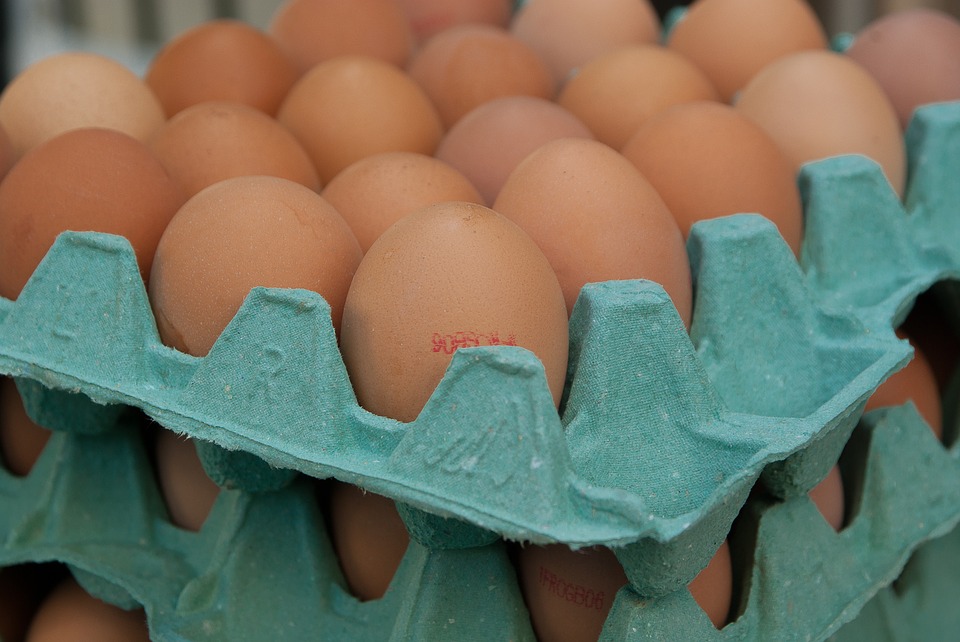 Al momento stai visualizzando Uova al Fipronil, il Movimento Difesa del Cittadino dice basta alle rassicurazioni inutili e  presenta  un esposto alle Procure della Repubblica  per i reati di Adulterazione e contraffazione di sostanze alimentari, Commercio di sostanze alimentari nocive e detenzione di alimenti tossici per l’uomo