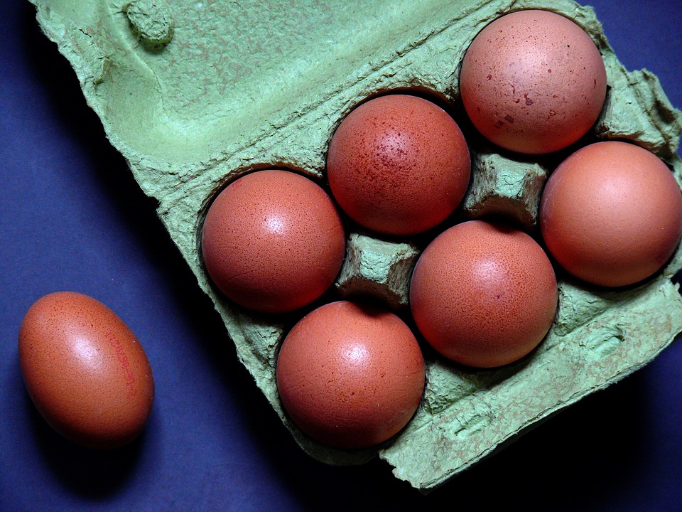 Al momento stai visualizzando Uova al Fipronil, gli ultimi richiami. Aggiornamento all’11 settembre