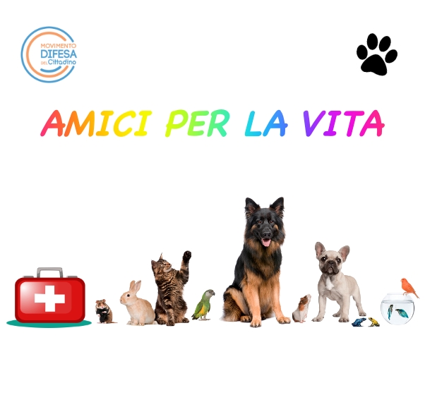 Scopri di più sull'articolo Le lobby dei farmaci veterinari colpiscono ancora, parere negativo all’emendamento di buonsenso dell’On. Patrizia Prestipino che chiede semplicemente la distribuzione di farmaci a costi più accessibili per gli italiani che ne hanno il diritto. Per MDC se la Sanità non cambia parere è uno schiaffo a milioni di cittadini che hanno animali e che hanno il diritto di curarli a spese sostenibili. Pronti a ricorsi all’Antitrust e Petizioni on line