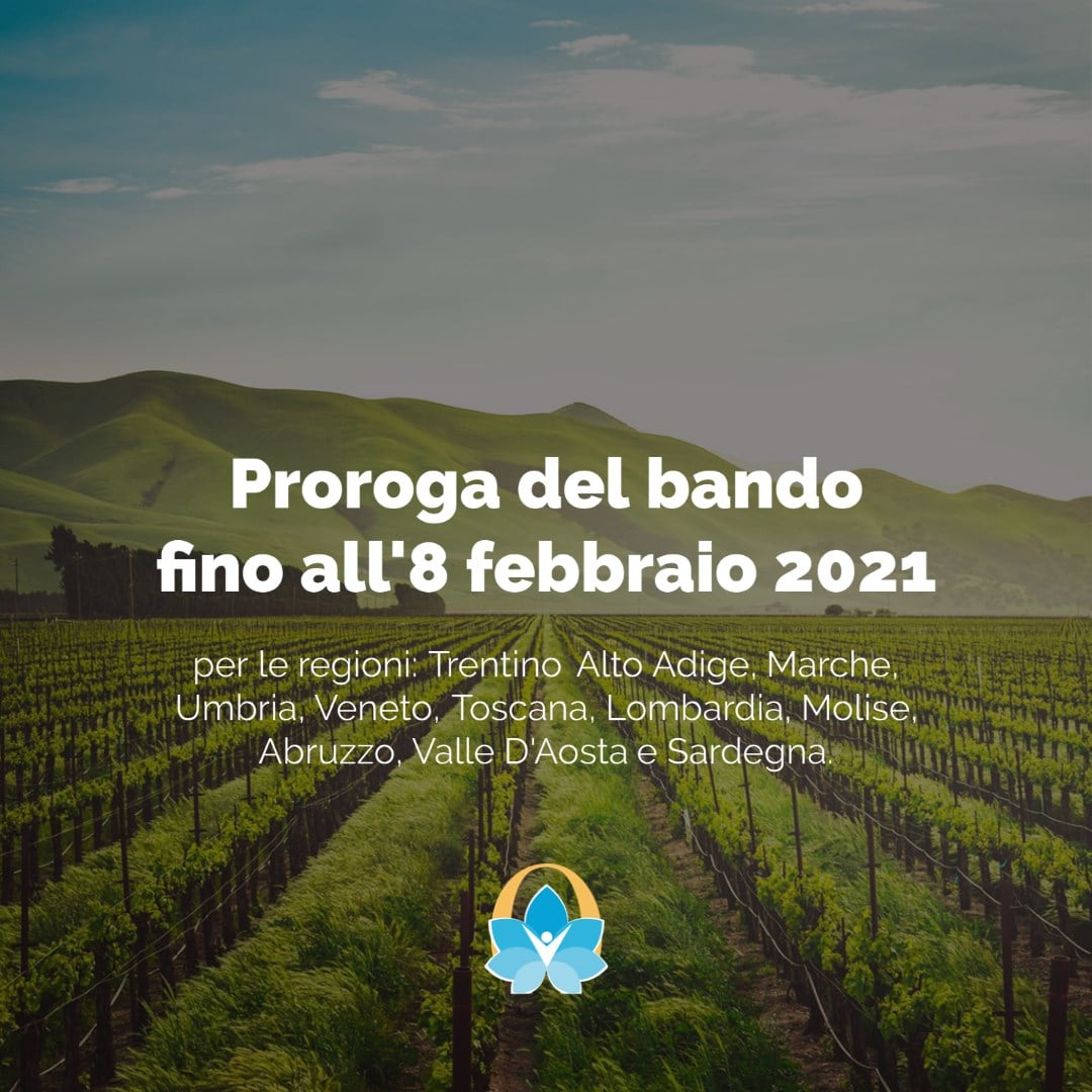 Scopri di più sull'articolo PROROGA DEL BANDO FINO ALL’8 FEBBRAIO 2021