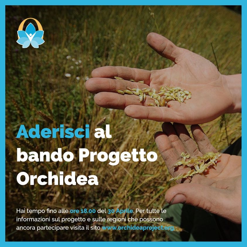 Al momento stai visualizzando PROROGA DEL BANDO FINO AL 30 APRILE 2021, ORE 18.00